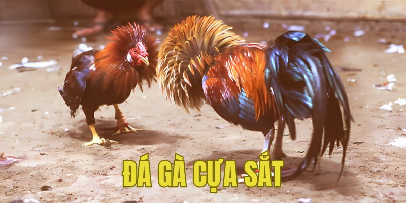 Banner www.khalifa.vn