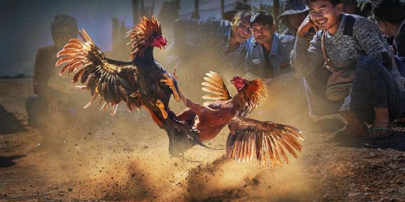 Banner www.khalifa.vn